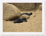 Dierentuin Burgers  Zoo 085 * 3648 x 2736 * (6.2MB)